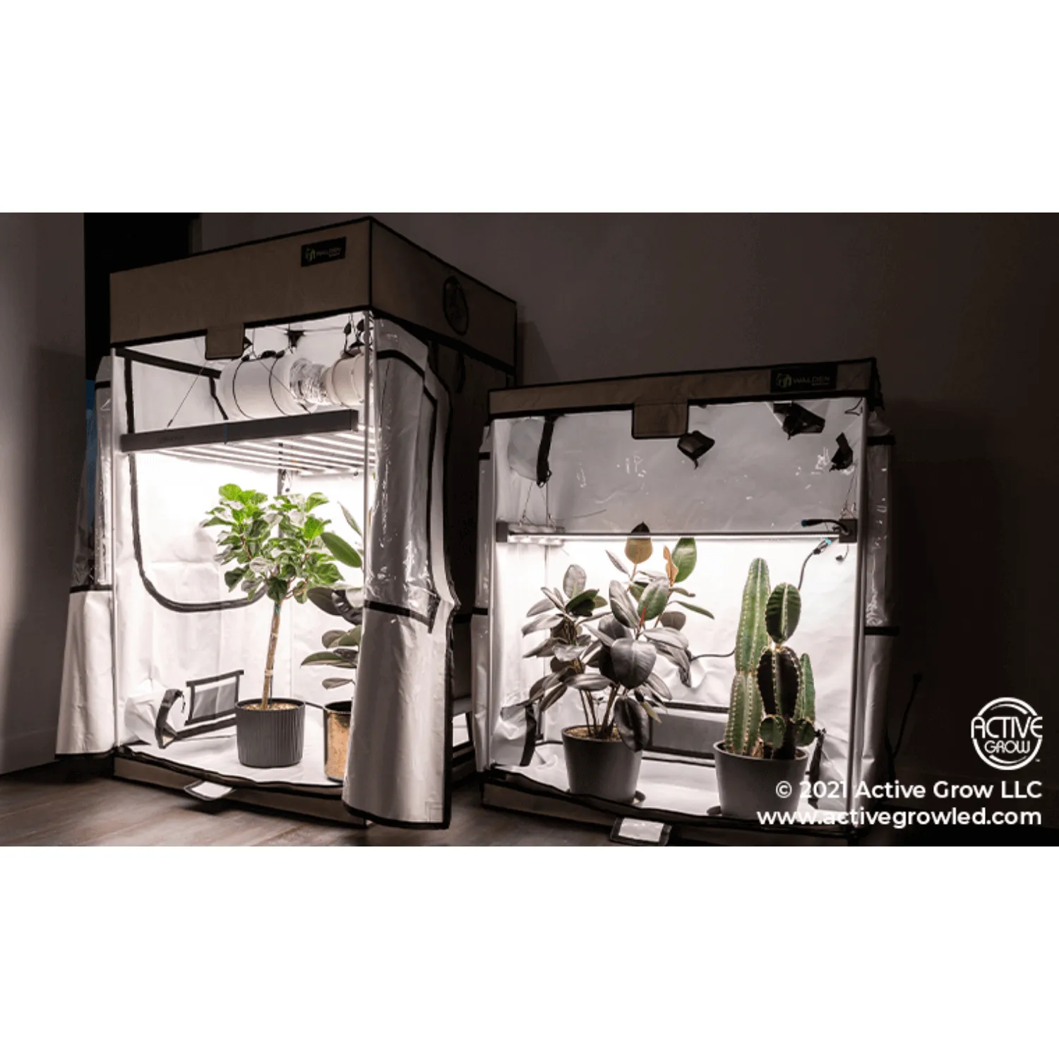 Active Grow 2' x 4' Walden White Grow Tent