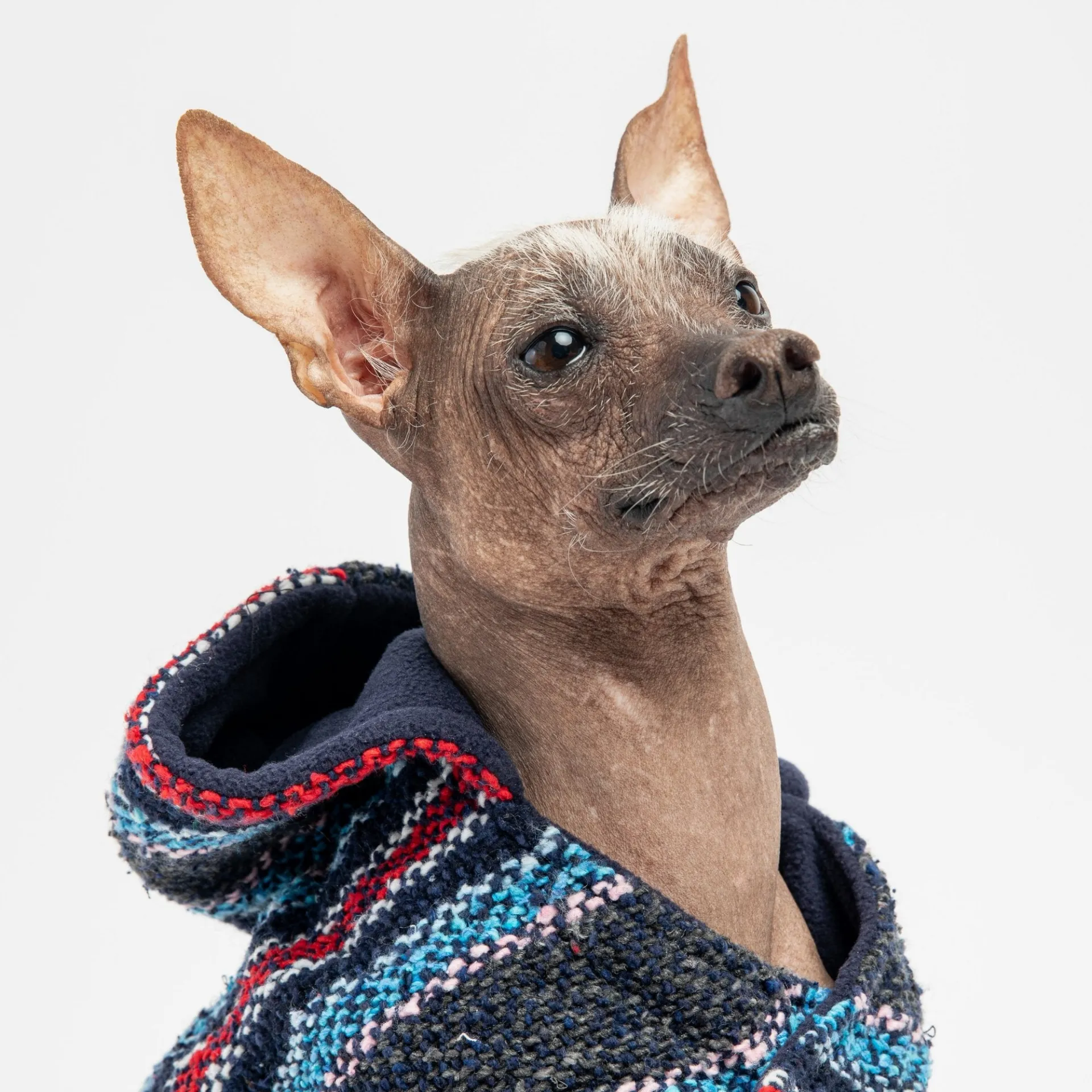 Baja Dog Poncho - Navy | Stylish and Cozy Dog Jacket