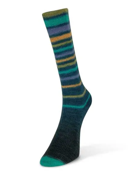 Infinity Sock Yarn by Laines du Nord