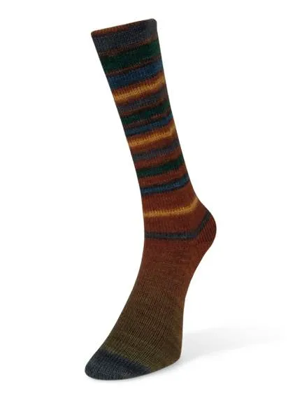 Infinity Sock Yarn by Laines du Nord