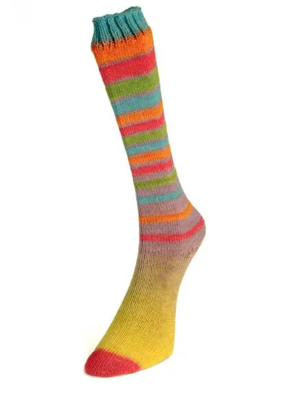 Infinity Sock Yarn by Laines du Nord