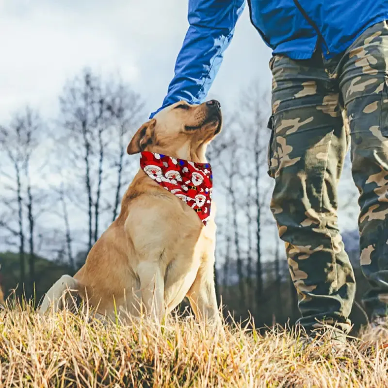 Premium Christmas Santa Bandana for Cats and Dogs